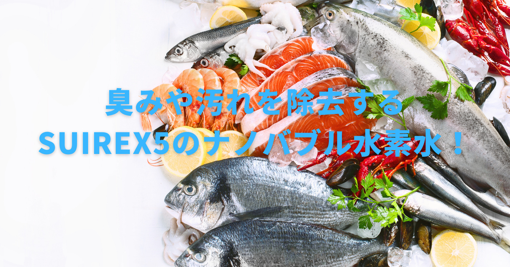 【魚とえびの下処理のやり方は？】水が大切なことを詳しく解説！